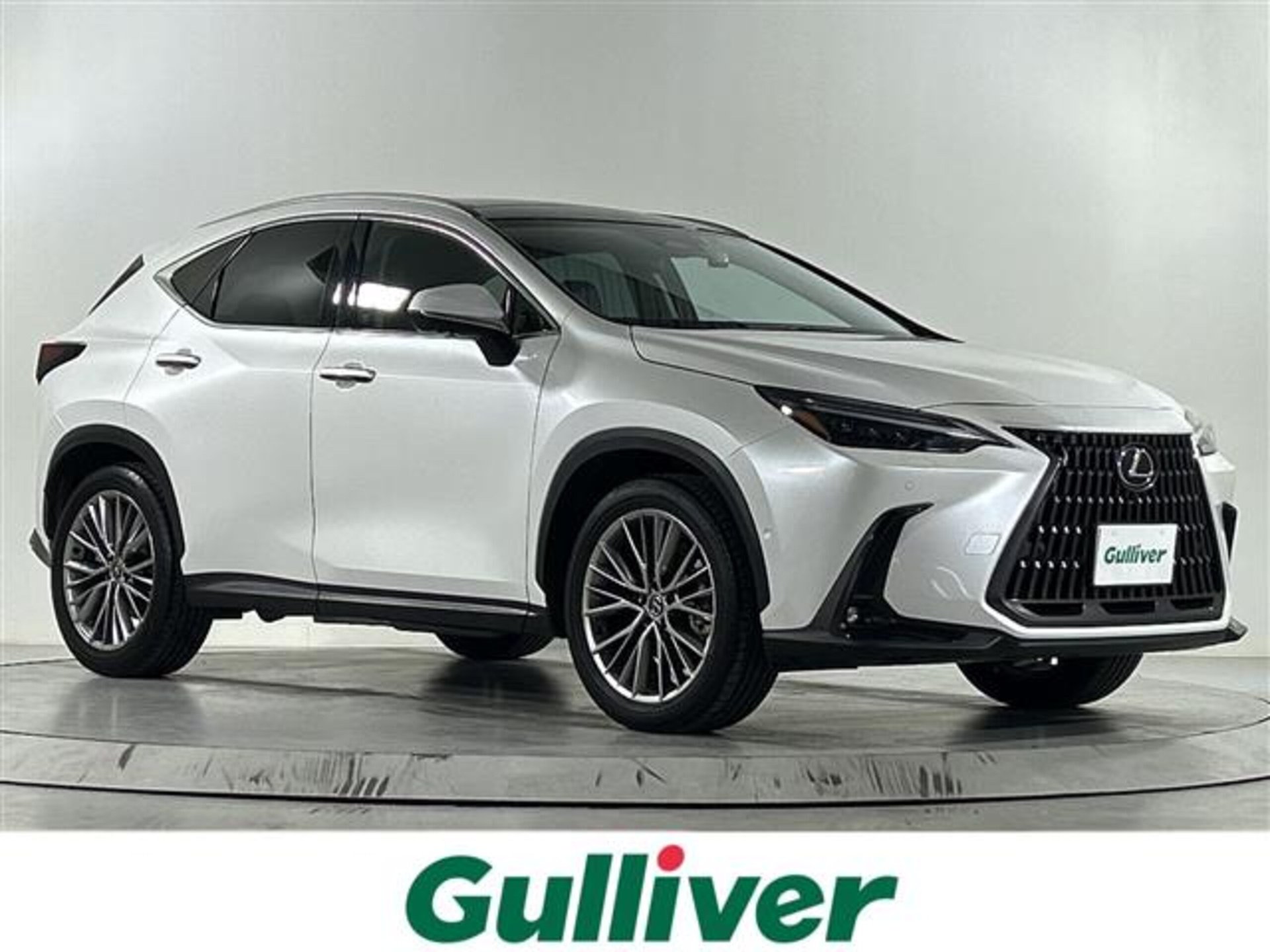 LEXUS NX - View 1