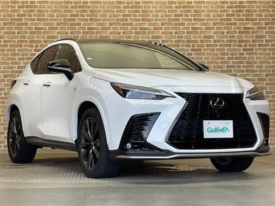 2022 Lexus NX photo 1
