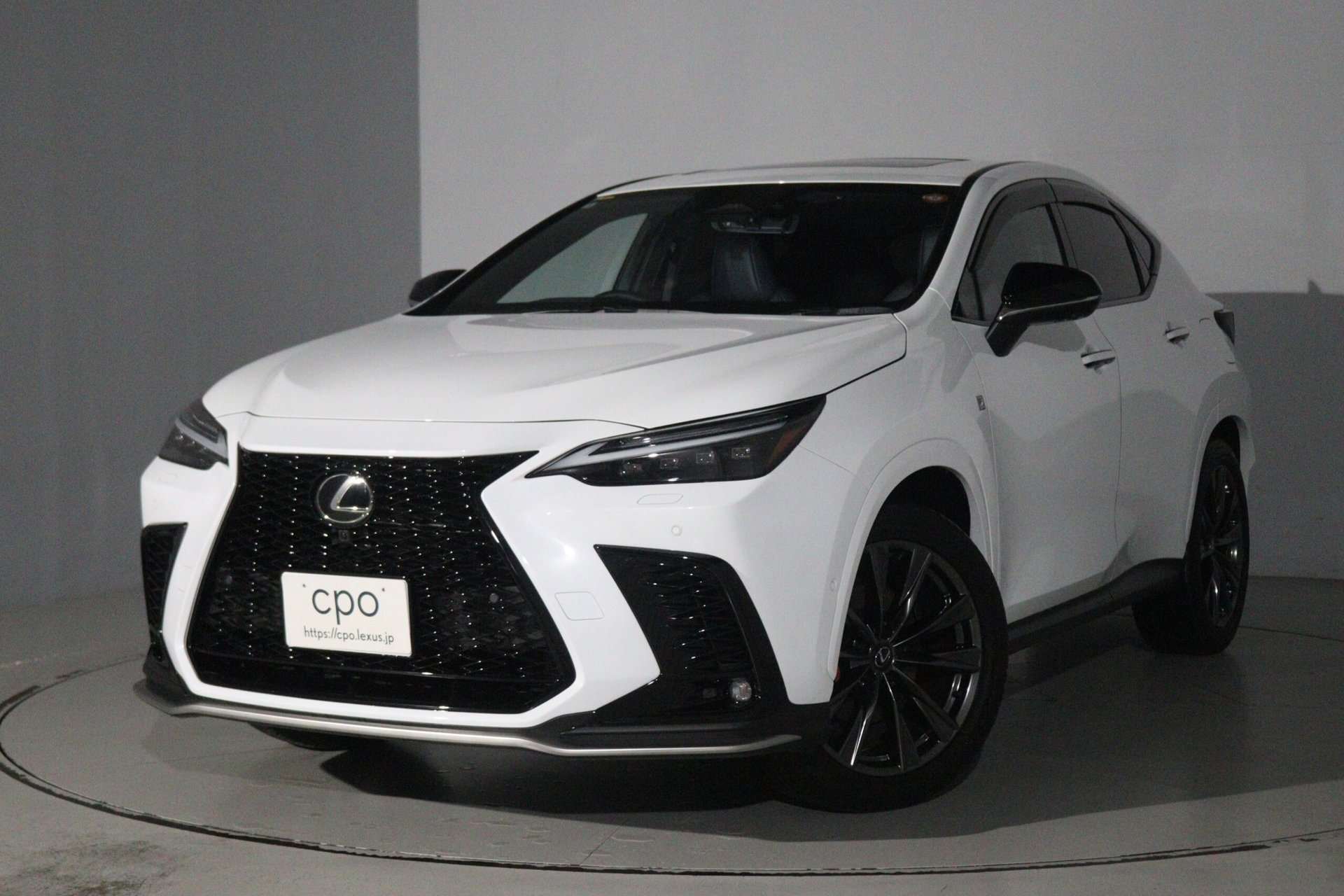 LEXUS NX - View 1