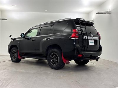 2019 Toyota LAND CRUISER PRADO — фото 2