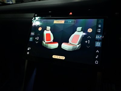 2025 LAND Rover DISCOVERY SPORT thumbnail 87