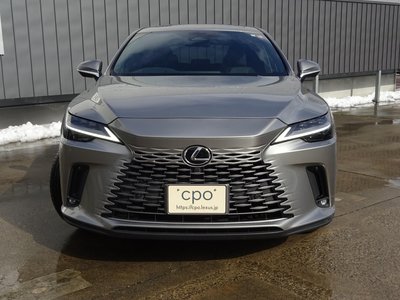 LEXUS RX - 2