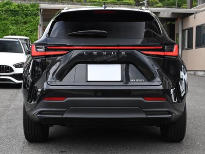 2023 Lexus NX — миниатюра 24