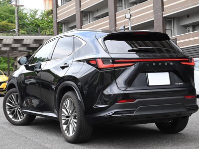 LEXUS NX - 10