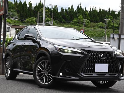 LEXUS NX - 6
