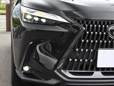 2023 Lexus NX — миниатюра 22