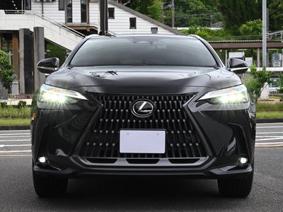 2023 Lexus NX — миниатюра 15