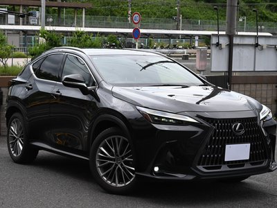 2023 Lexus NX — миниатюра 12