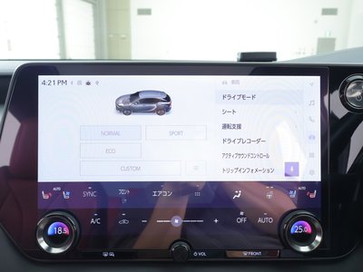 صورة 10 لـ 2023 Lexus RX