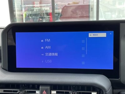 TOYOTA LAND CRUISER 250 - 4