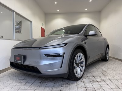 TESLA MODEL Y - 1