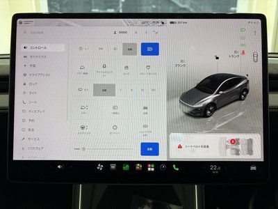 TESLA MODEL Y - 6