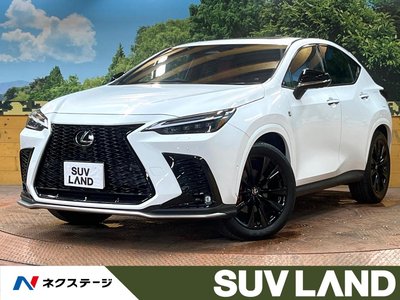 LEXUS NX - 1