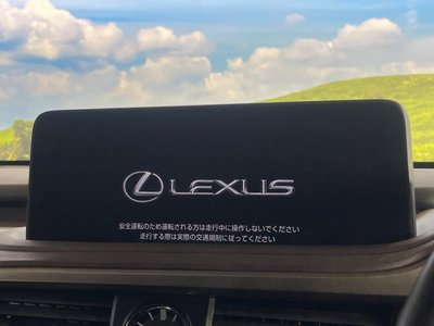 LEXUS RX - 4