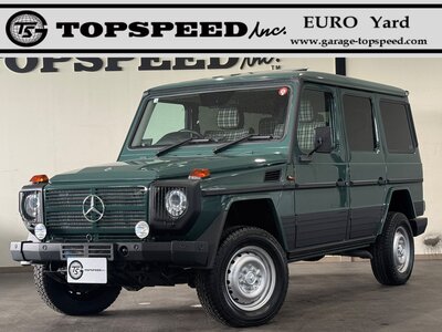 MERCEDES-BENZ G-CLASS