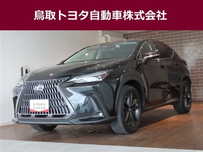 2022 LEXUS NX 照片 1