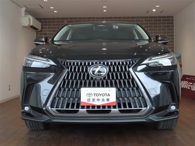 2022 LEXUS NX 照片 2