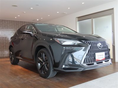 2022 LEXUS NX 照片 3