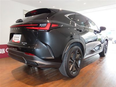 2022 LEXUS NX 照片 6