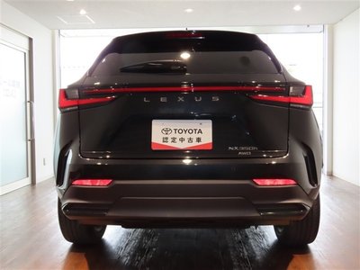 2022 LEXUS NX 照片 5