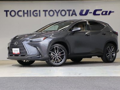 LEXUS NX - 1