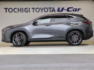 LEXUS NX - 2