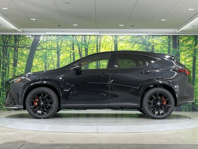 صورة مصغرة 25 لـ 2025 Lexus NX