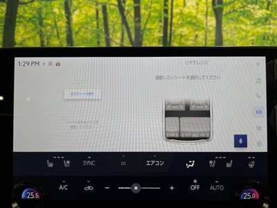 صورة مصغرة 66 لـ 2025 Lexus NX