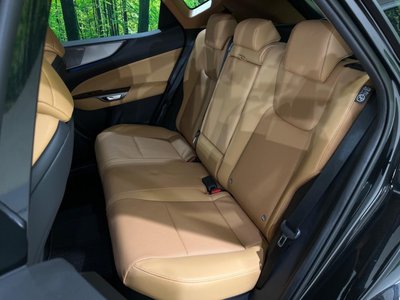 صورة مصغرة 50 لـ 2025 Lexus NX