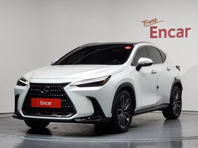 LEXUS NX - 1