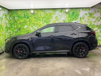 LEXUS NX - 3