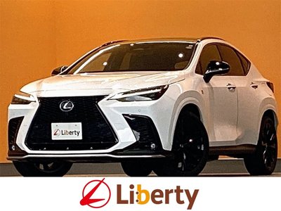 LEXUS NX - 1