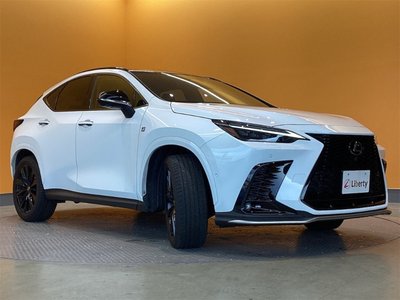LEXUS NX - 10