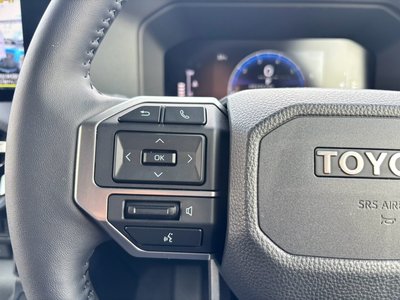 2025 Toyota LAND CRUISER 250 缩略图 20