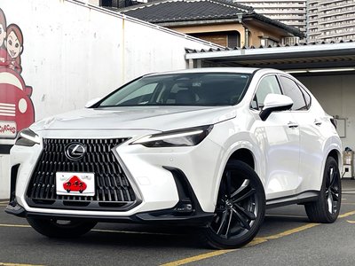 2022 Lexus NX — фото 3