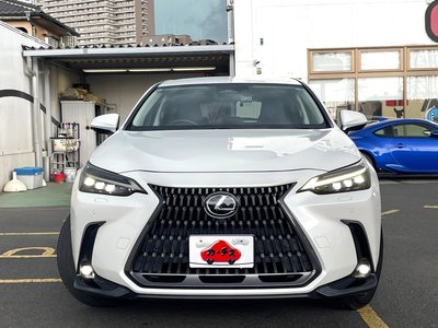 2022 Lexus NX — фото 4