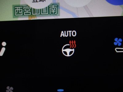 2025 Toyota ALPHARD thumbnail 28