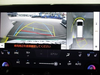 2025 Toyota ALPHARD — фото 10