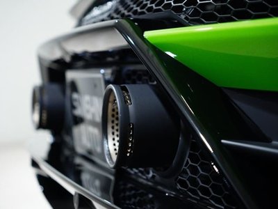 2021 Lamborghini OTHERS — миниатюра 15