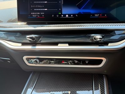 2024 BMW X5 thumbnail 38