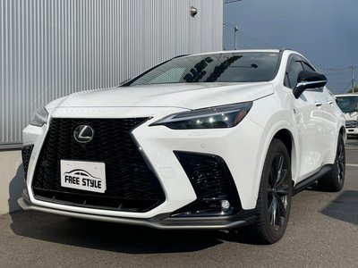 LEXUS NX - 2
