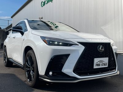 LEXUS NX - 10