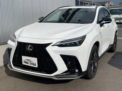 LEXUS NX - 1