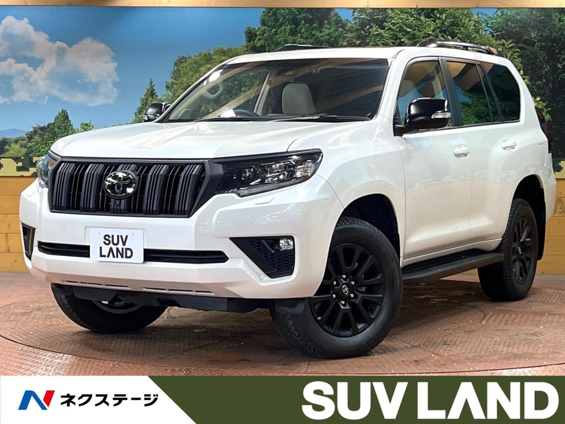TOYOTA LAND CRUISER PRADO - View 1