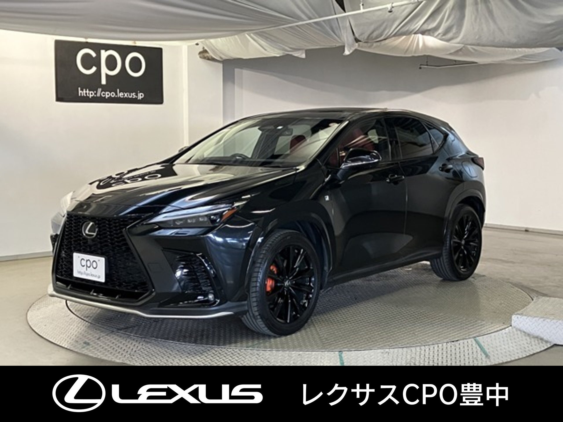 LEXUS NX - View 1
