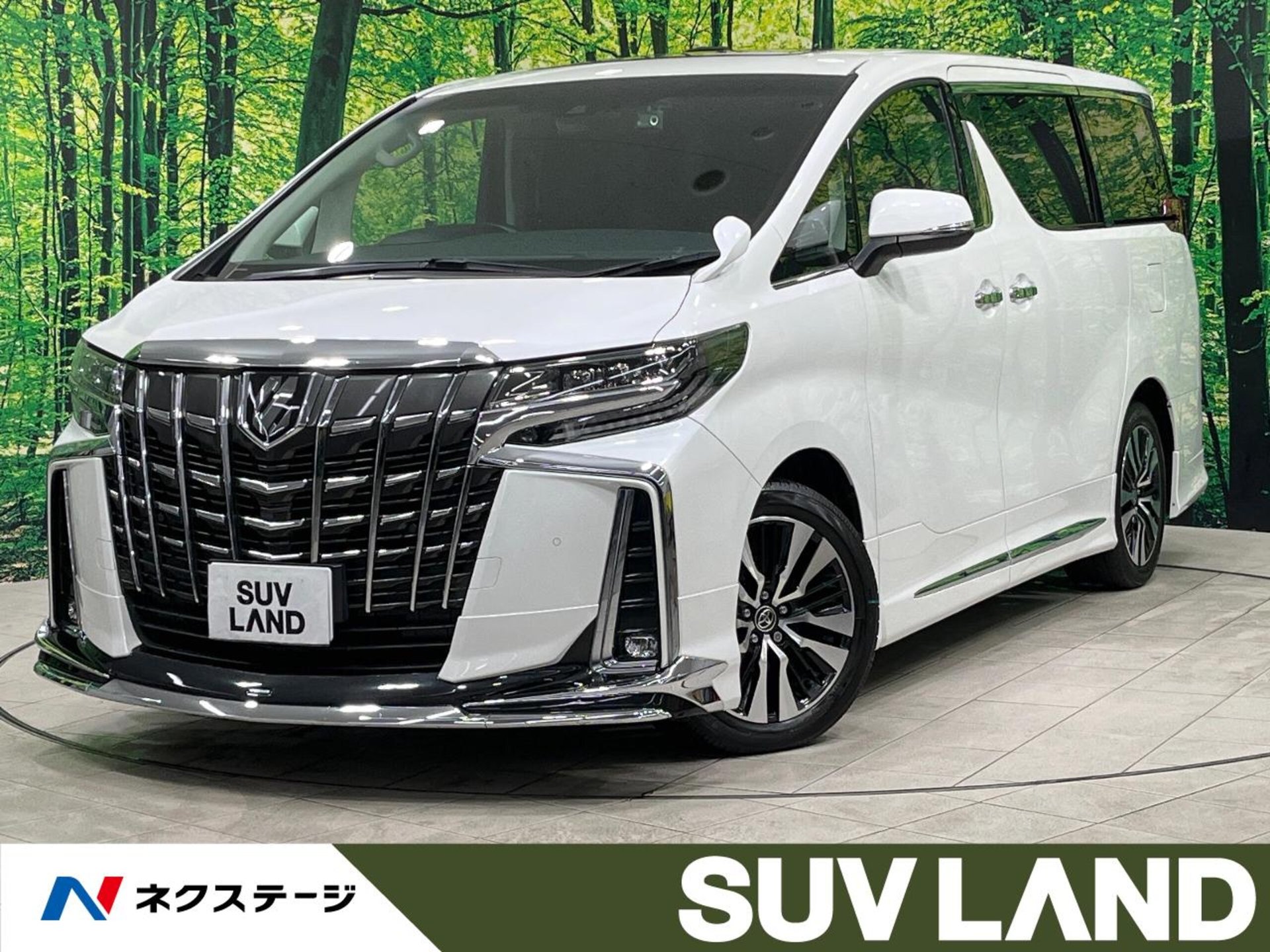 TOYOTA ALPHARD - View 1