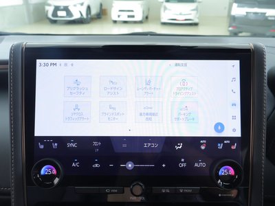 2024 TOYOTA ALPHARD — миниатюра 13