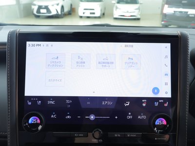 2024 TOYOTA ALPHARD — миниатюра 14