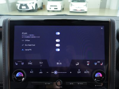 2024 TOYOTA ALPHARD — миниатюра 16