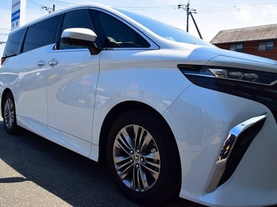 2026 Toyota ALPHARD — миниатюра 24
